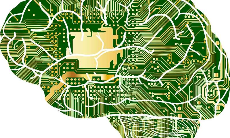 科学家利用人工智能技术分析现实世界中的因果关系