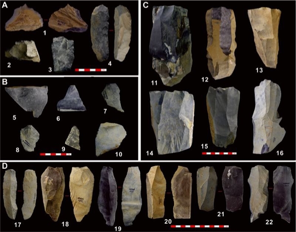 《科学》杂志：人类4万年前已登上青藏高原