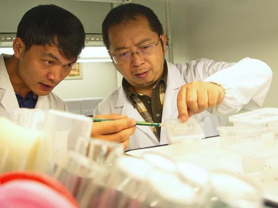 中国科学家发现蜘蛛乳汁震动科学界