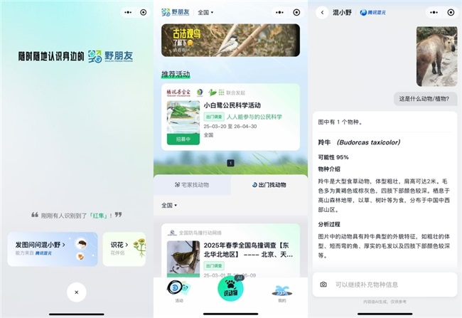 腾讯“野朋友计划”联合腾讯混元上线物种识别AI  用技术守护生物多样性
