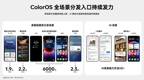 OPPO6389615011873481722796100.jpg