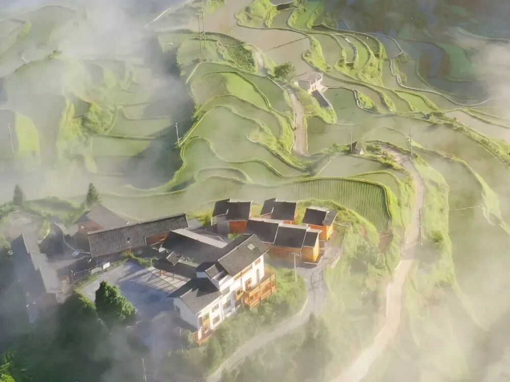 一家外企的向善力量