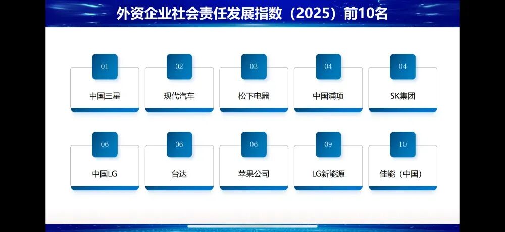 1765266418990075.jpg e96bebc7-99ee-4bac-ad54-e61f6cfea913.jpg