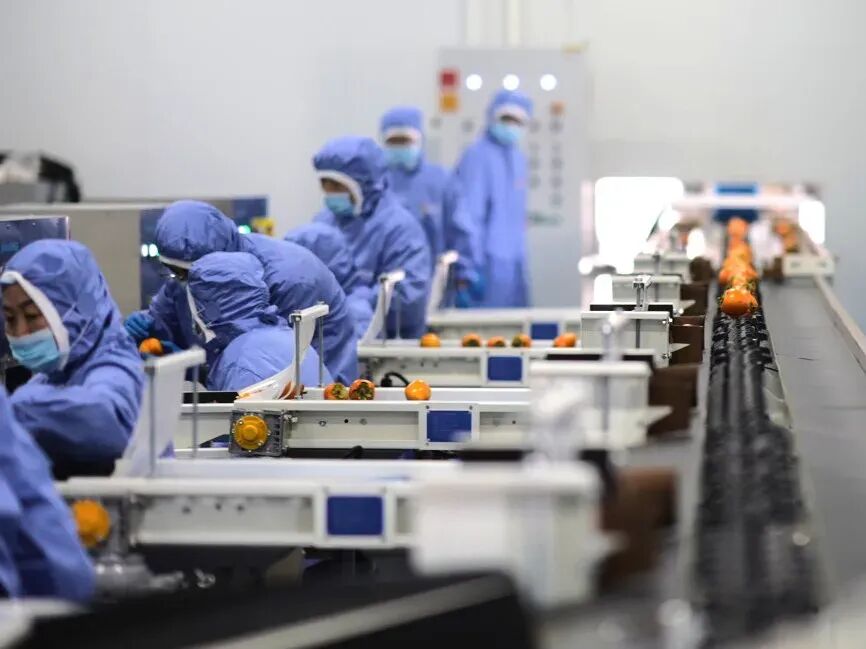 1765266437586774.jpg e9978845-8b38-4abf-b311-f8f2e9c0af54.jpg