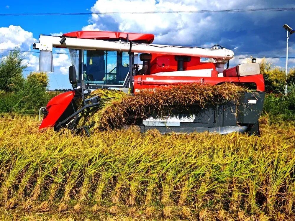 1765266468862370.jpg 0c3dff27-d610-48e0-9a88-ccb91fc85dc4.jpg