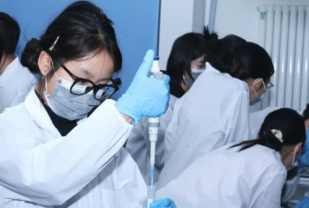 1765266493906941.jpg a53bcbb7-15f0-46da-9400-d3d58b2ef5e8.jpg