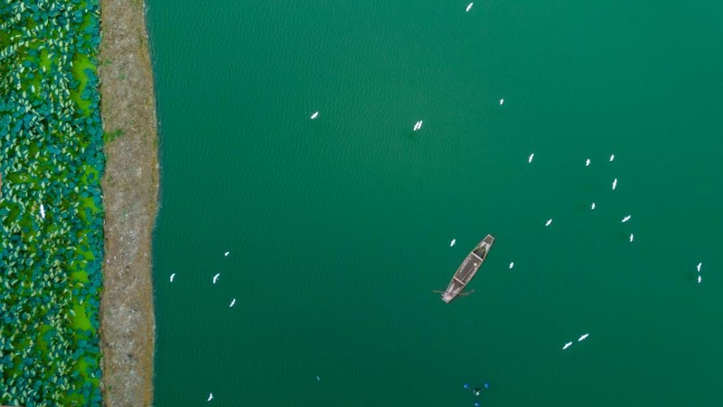 SX202609241146041247885631.jpeg